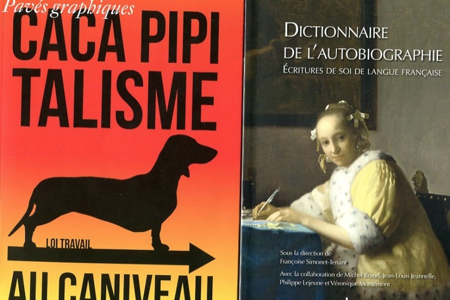 La vie est un roman # 06 novembre  - Dictionnaire de l'autobiographique et Pavés graphiques