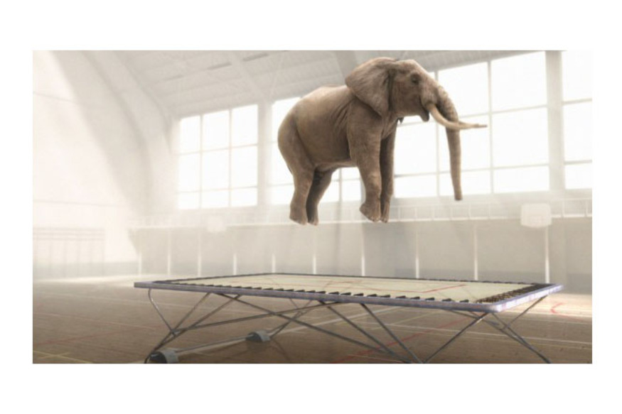 Ecoute ! Il y a un éléphant... # 26 février 2020 - Filmer les animaux au cinéma, avec Nicolas Deveaux, réalisateur