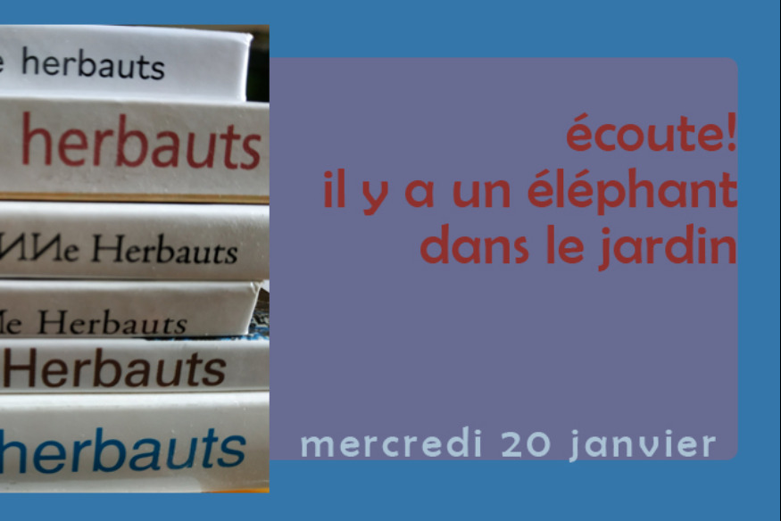Ecoute ! Il y a un éléphant... # 20 janvier 2021 - avec Anne Herbauts, autrice-illustratrice