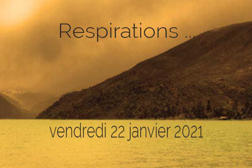 Respirations # 22 janvier 2021 - Rencontre avec Guenièvre Anaïs créatrice du Hearth Healing