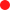 rond rouge-10.png (247 b)