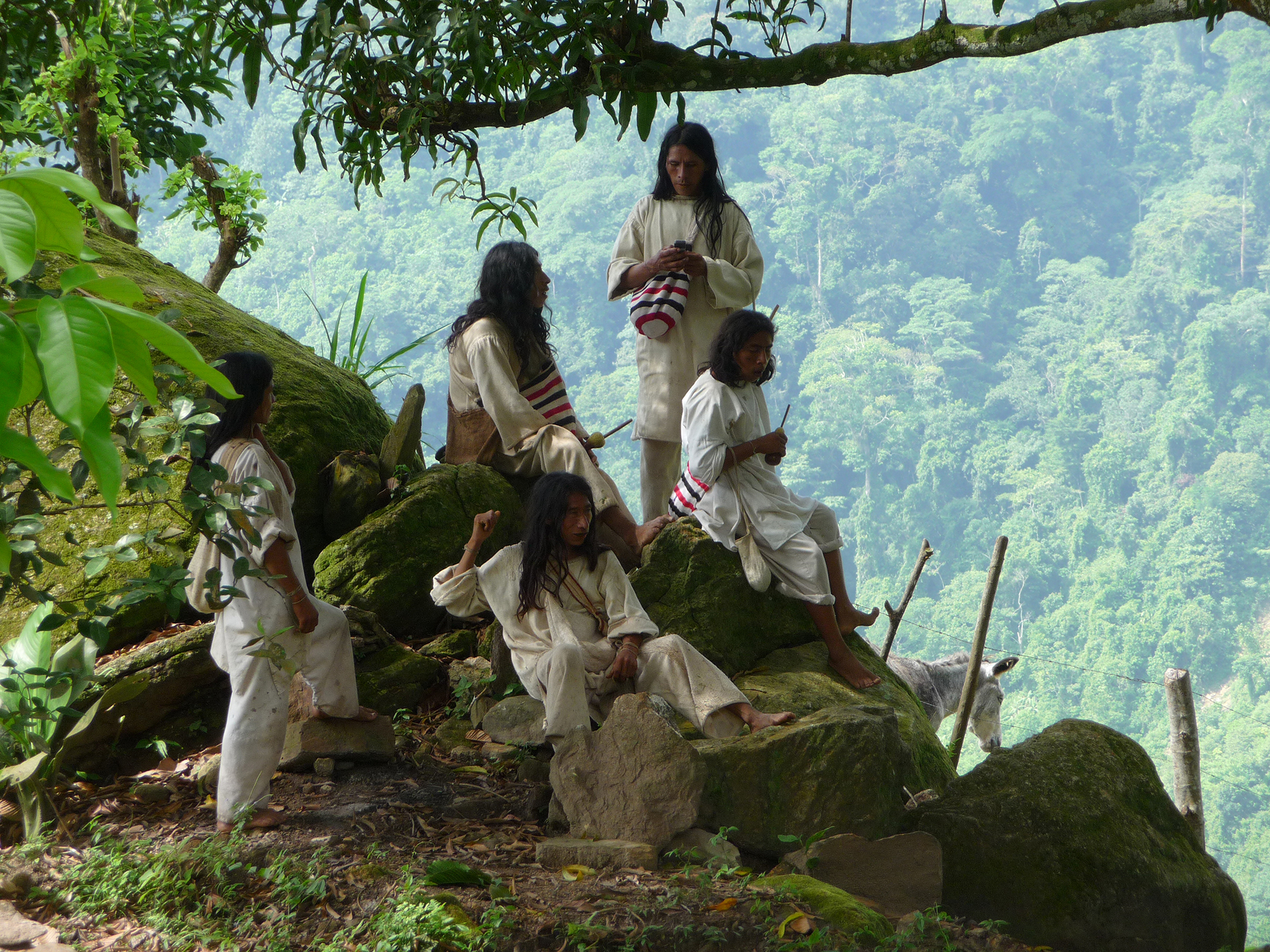 kogis en bord de falaise.JPG (2.94 MB)