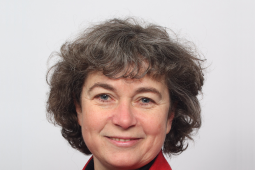 L'étincelle dans la ville # 12 décembre 2022 - L'école Tournesol