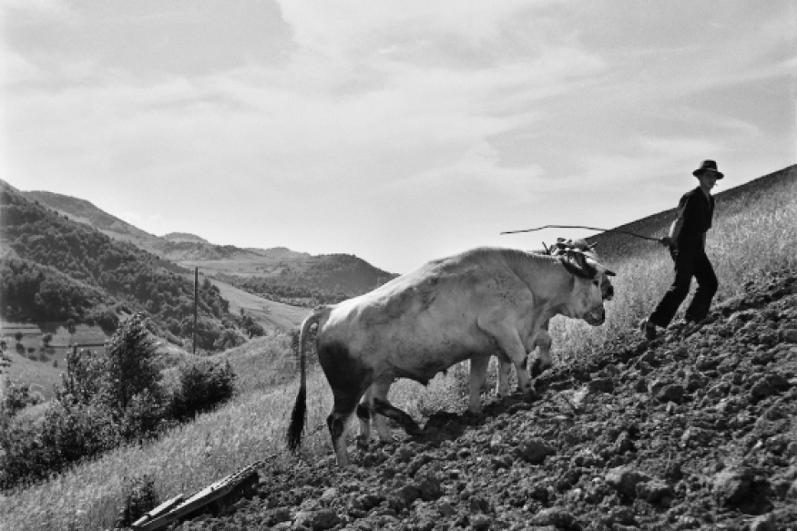 Dialogues 42#:samedi 20 septembre 2025:  "Dès la terre": Garder le paysage: conversation avec 4 ingénieurs agronomes.