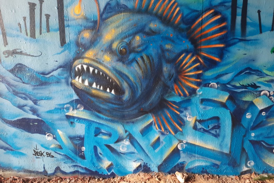 Les arènes de l'écologie #45 - 24/12/2025 - « La dernière exploration » Menace sur les grands fonds marins ?