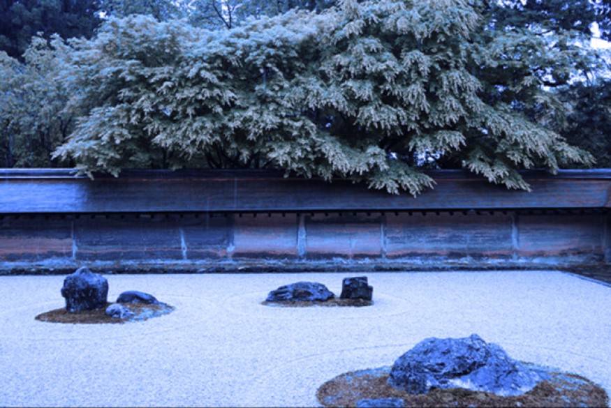 Respirations # 27 janvier 2026 - Rencontre avec Galya Ortega